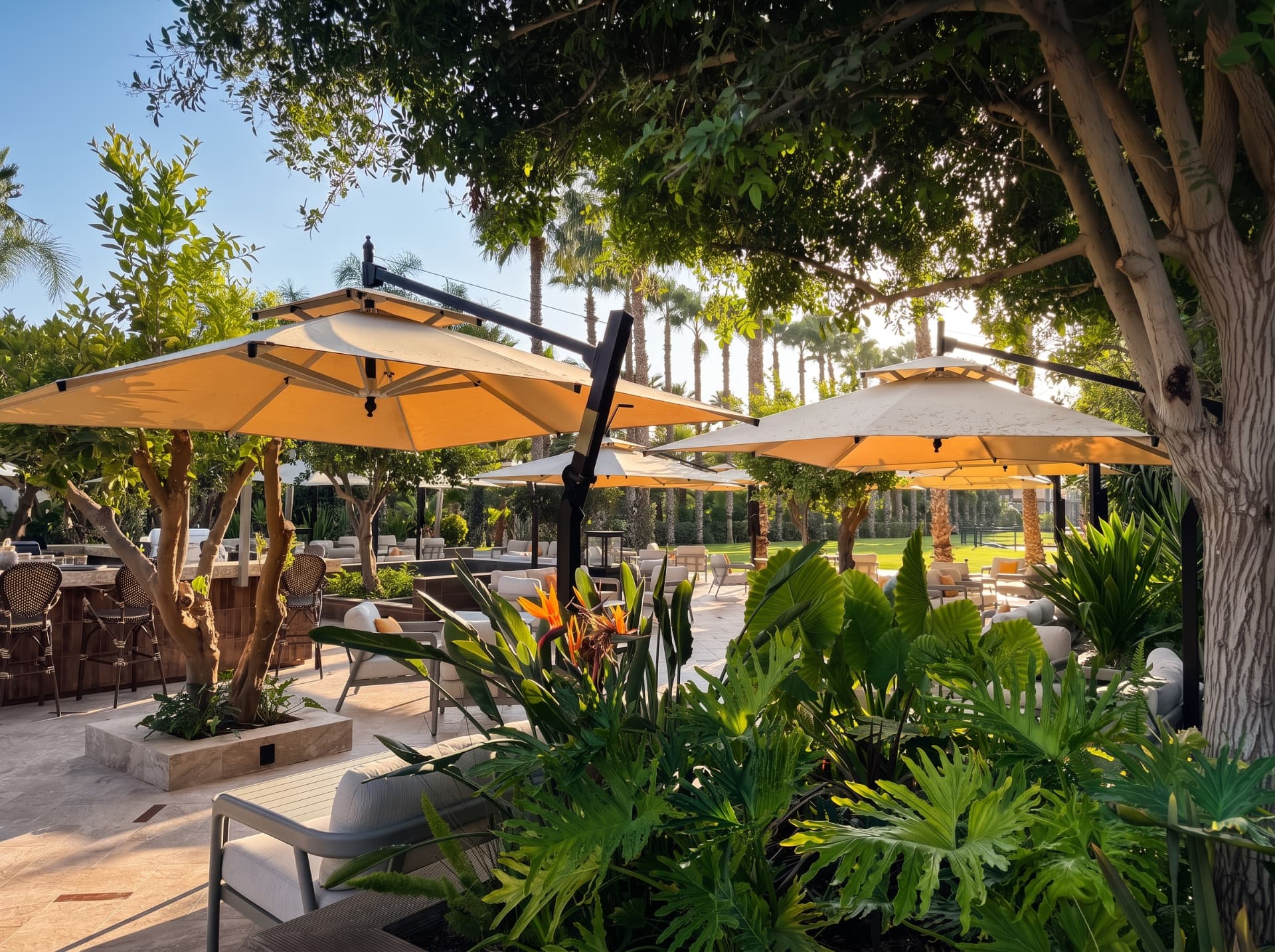 Terrasse des Orangers