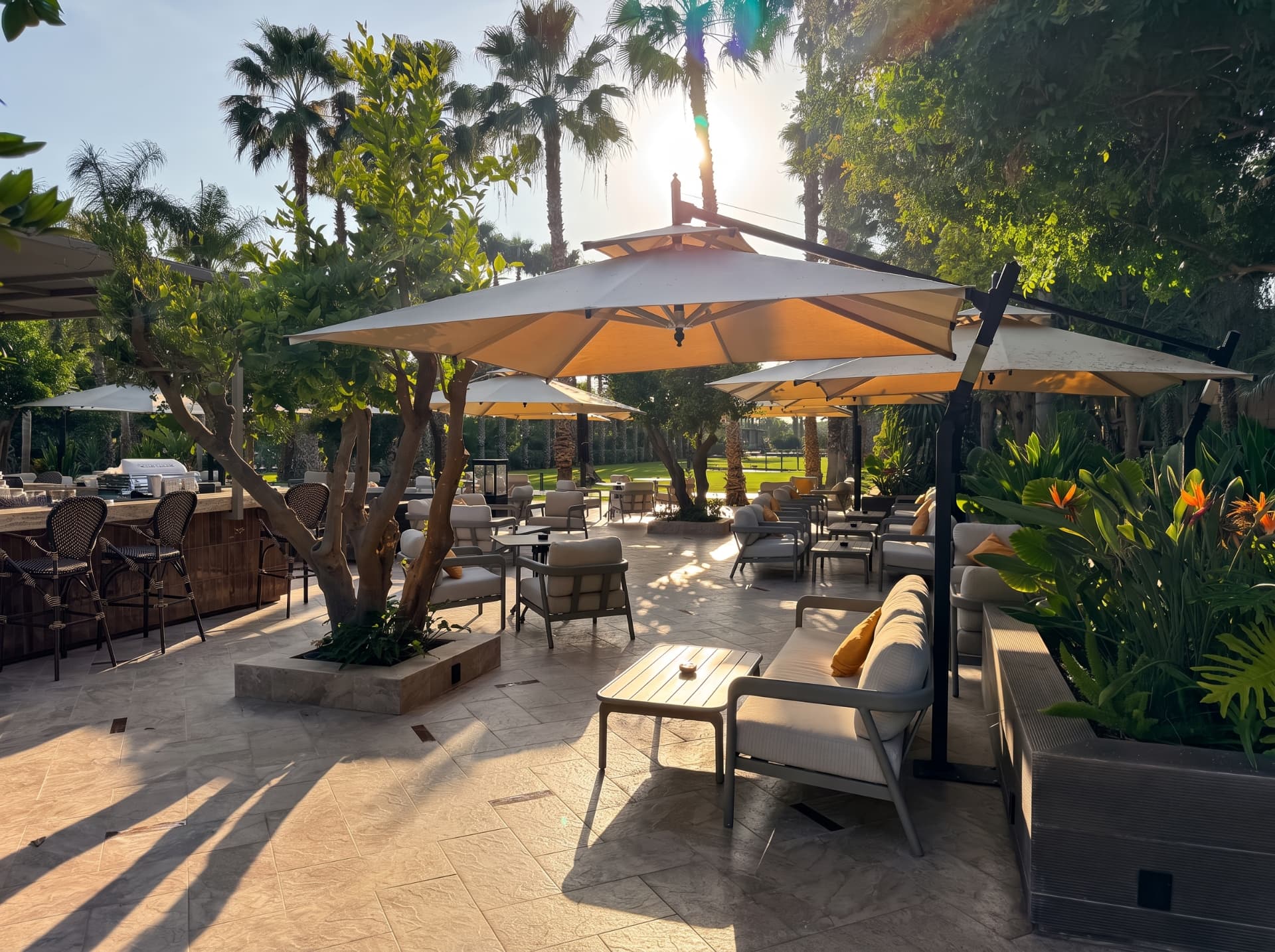 Terrasse des Orangers