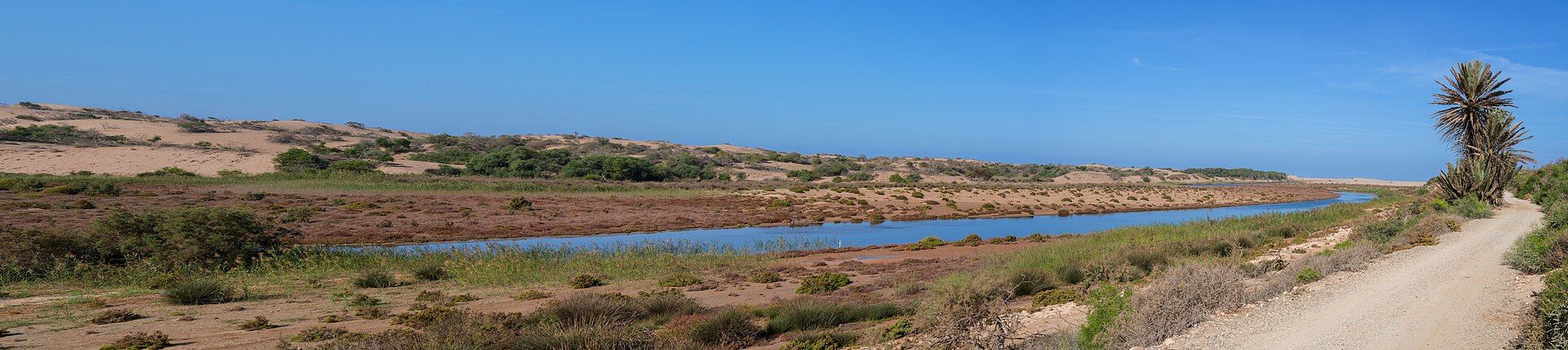 Parc National de Souss-Massa — site touristique près d’Agadir, région de Souss-Massa