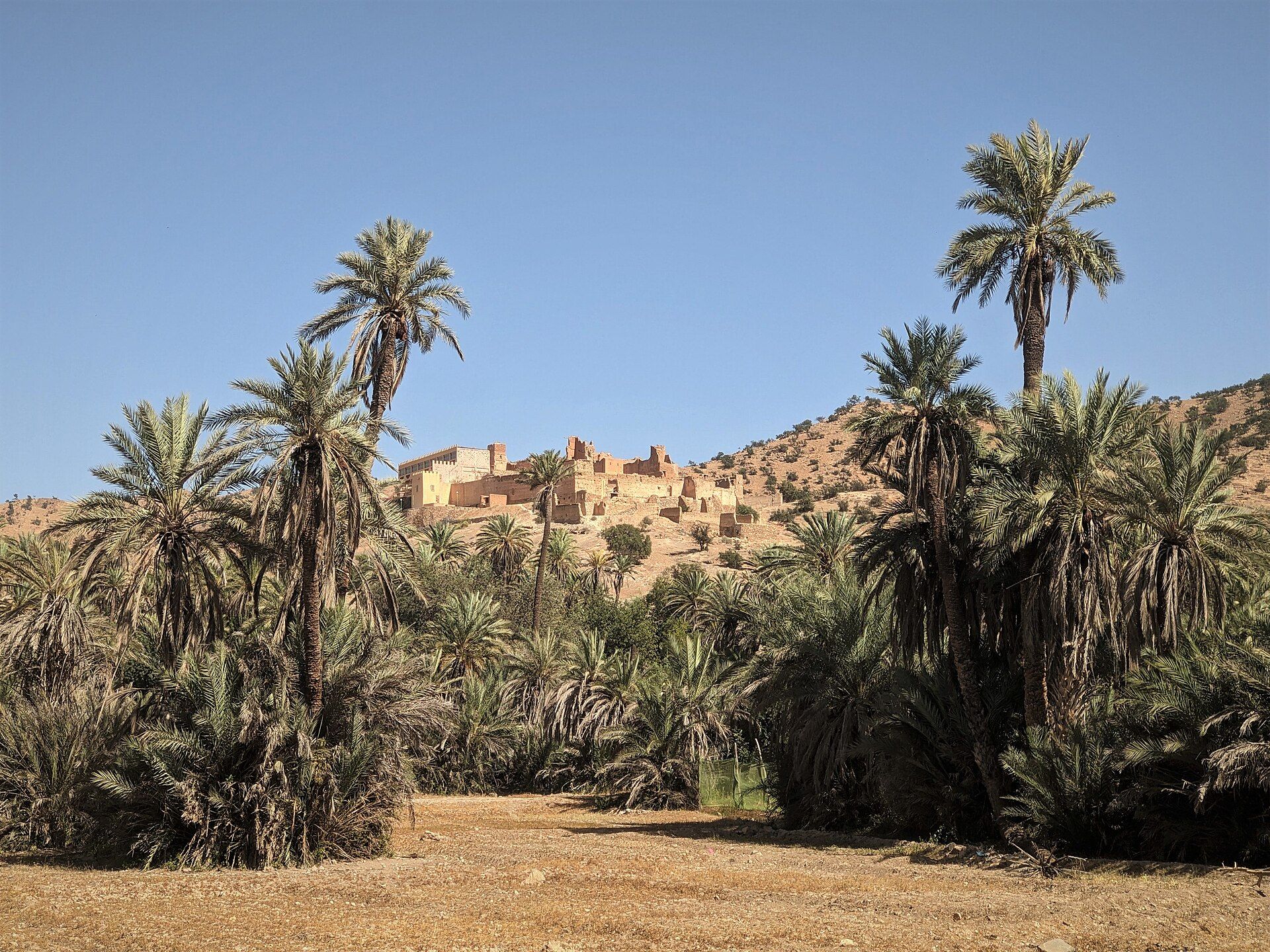 Oasis de Tiout — site touristique près d’Agadir, région de Souss-Massa